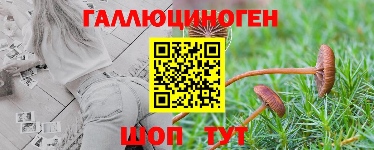 Галлюциногенные грибы GOLDEN TEACHER Ижевск