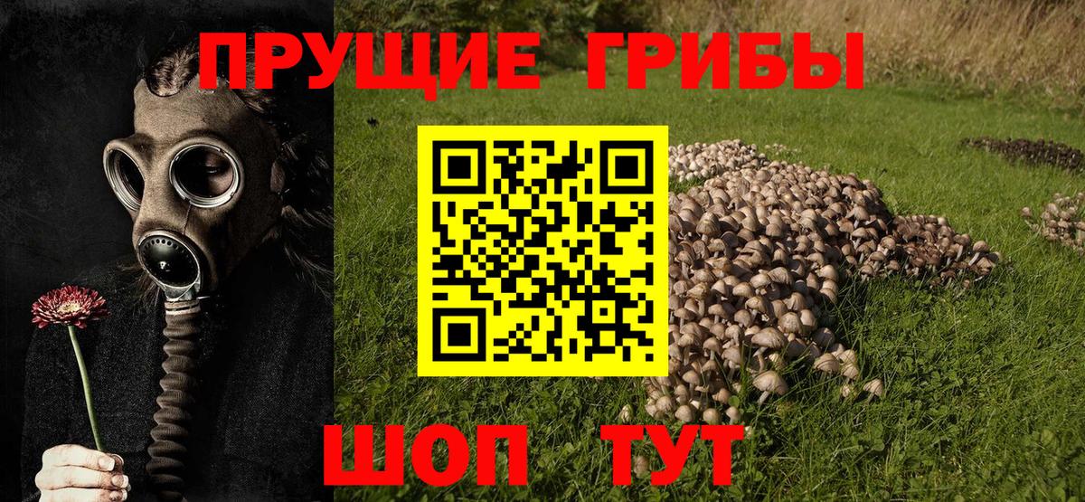 Ижевск  Псилоцибиновые грибы прущие грибы  цена наркотик  Галлюциногенные грибы Cubensis  Вход с VPN 